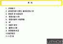 립합 마케팅전략 2페이지