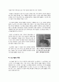 [나노기술]나노기술(Nano)의 정의와 특징 및 장단점, 문제점(역기능), 응용분야, 발전 전망 등 나노기술(NT)에 관한 모든 것, 나노과학기술(NT) 집중해부 4페이지