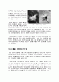 [나노기술]나노기술(Nano)의 정의와 특징 및 장단점, 문제점(역기능), 응용분야, 발전 전망 등 나노기술(NT)에 관한 모든 것, 나노과학기술(NT) 집중해부 11페이지