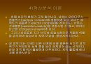 영유아의 발달과 교사의 역할 32페이지