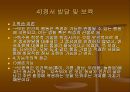 영유아의 발달과 교사의 역할 84페이지
