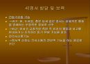 영유아의 발달과 교사의 역할 85페이지