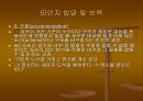 영유아의 발달과 교사의 역할 88페이지