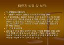 영유아의 발달과 교사의 역할 89페이지