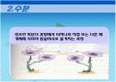 [재배학]수분,수정,화분,발아,배낭,종자형성,단위결과,크세니아PPT자료 4페이지