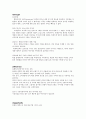 빈폴 마케팅 및 브랜드 분석 24페이지
