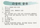 간장의 종류, 시장성, 발전방향 4페이지