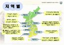 김치의 제품, 시장성, 연구동향 13페이지