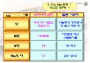 김치의 제품, 시장성, 연구동향 16페이지