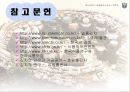 김치의 제품, 시장성, 연구동향 26페이지