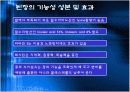 된장의 연구동향, 시장성,제품 5페이지