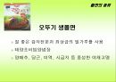냉면,당면,쫄면 등의 상춤 종류및 판매 22페이지