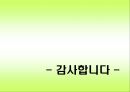 냉면,당면,쫄면 등의 상춤 종류및 판매 28페이지