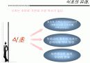 우리나라 식초의 종류와 시장성 5페이지