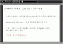 옥수수 관련제품 생산현황, 종류 8페이지