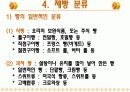 제빵산업의 공장규모, 생산량 종류 7페이지
