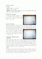  집단 미술치료 임상실습 보고서 34페이지