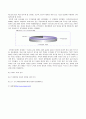 [e비즈니스]인터넷포털의 경쟁상황 분석 및 ‘다음(Daum)커뮤니케이션’ 경쟁전략 분석 25페이지