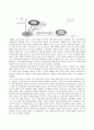 [e비즈니스]인터넷포털의 경쟁상황 분석 및 ‘다음(Daum)커뮤니케이션’ 경쟁전략 분석 36페이지