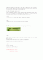 Venous Drainage Cannula 2페이지
