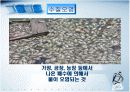 환경오염이 건강에 미치는 영향 교육 파워포인트 9페이지