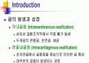 Skeletal System 골격계 파워포인트 발표자료 7페이지