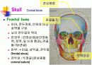 Skeletal System 골격계 파워포인트 발표자료 14페이지