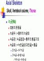 Skeletal System 골격계 파워포인트 발표자료 50페이지