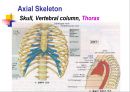 Skeletal System 골격계 파워포인트 발표자료 52페이지