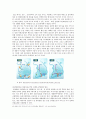 광양항의 미래 15페이지