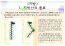 지방산 대사  4페이지