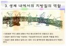 지방산 대사  6페이지