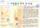 지방산 대사  16페이지