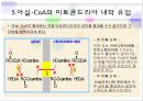 지방산 대사  27페이지