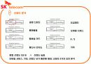 SKT의 점유율 요인분석(설문지150부) 17페이지