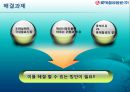 롯데칠성 기업분석 43페이지
