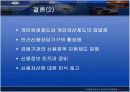 [경제학] 신용불량자 현황과 대응방향['A+레포트'] 19페이지