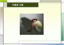 [사회과학] '우울증'에 대한 전반적인 이해 ['A+레포트'] 4페이지
