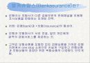 [경영] 방카슈랑스 사례분석을 통한 금융겸업화의 발전 방향 ['A+레포트'] 4페이지