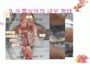 연골어류(두툽상어) 해부 실습 발표 자료 10페이지