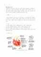 순환기의 구조와 기능 1페이지
