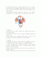 순환기의 구조와 기능 4페이지