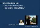 UCC Viral Maketing의 모든 것 (제작에서 붐업까지) 31페이지