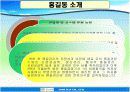 파워포인트 이력서 7페이지
