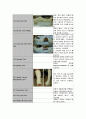 csat,splint의 종류와 적용, 대상자 간호(적용 사진 다량 포함) 3페이지