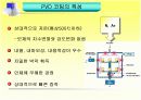 공구재종 및 코팅 11페이지