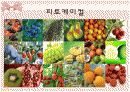 파이토케미컬 6페이지