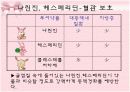 파이토케미컬 13페이지