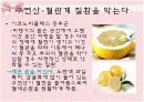 파이토케미컬 14페이지