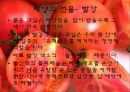 파이토케미컬 21페이지